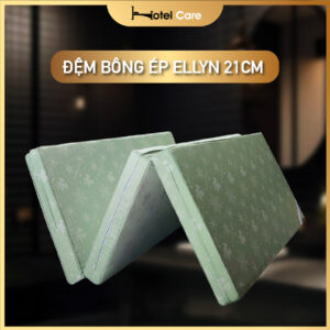 Đệm bông ép ELLYN (Mix bông ép và foam) ( 21cm)