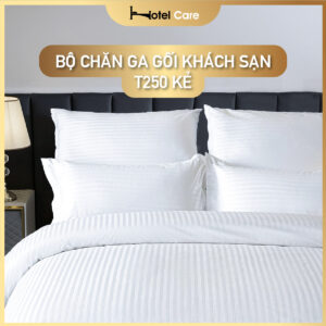 Bộ chăn ga gối khách sạn chất liệu vải T250 kẻ